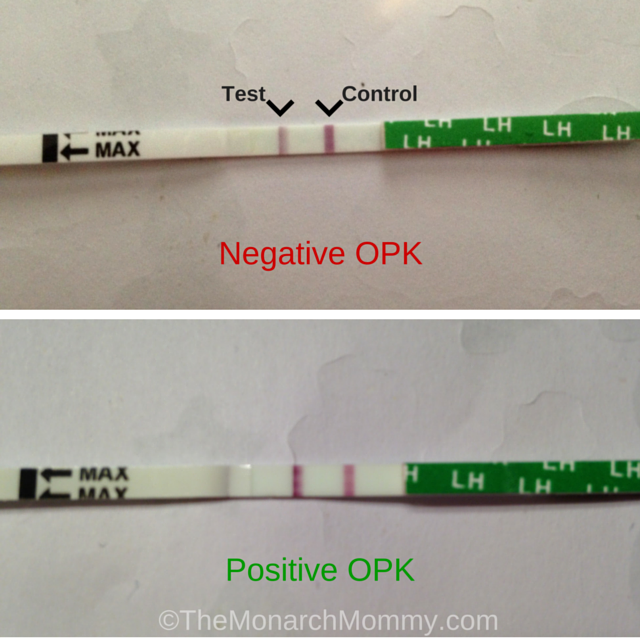 When To Have Sex After Positive Opk 60