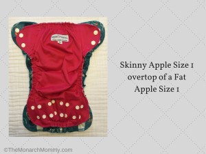 The Skinny on Skinny AppleCheeks