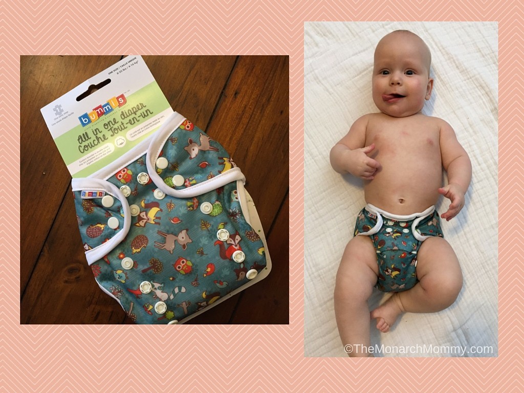 Bummis All-In-One Cloth Diaper Review