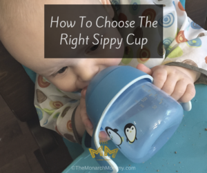 How To Choose The Right Sippy Cup FB