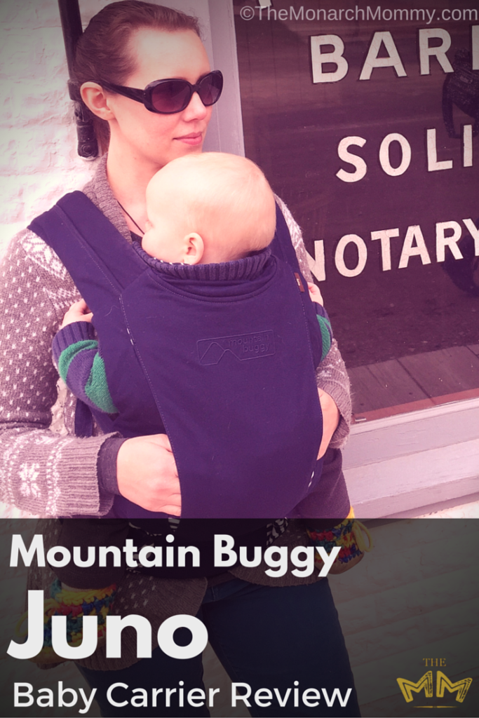mountain buggy front pack