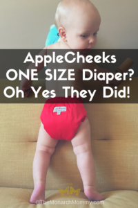 AppleCheeks One Size Diaper? Oh Yes They Did!