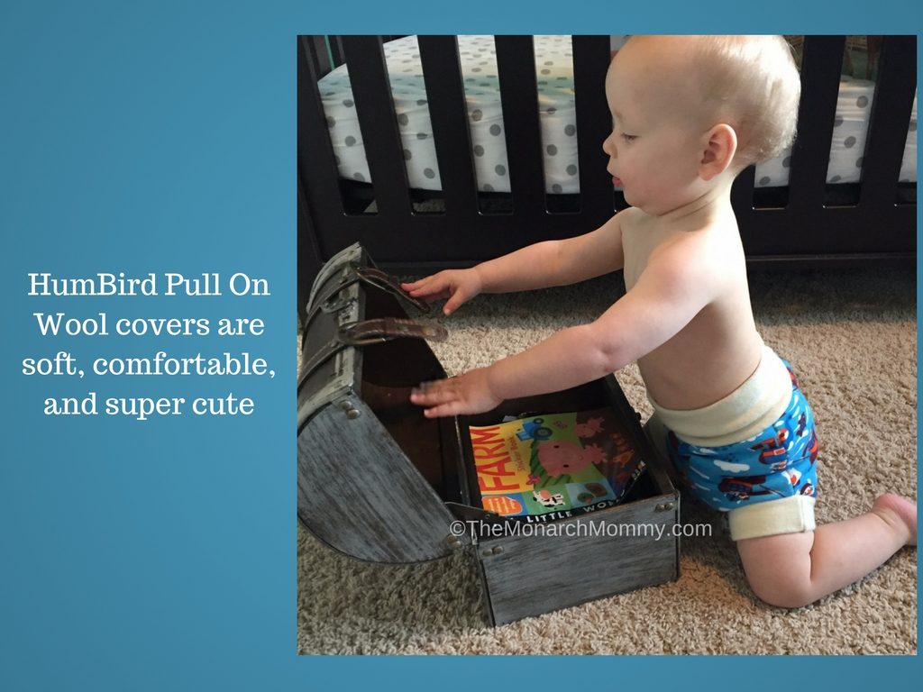 HumBird Pull On Wool Cover Review
