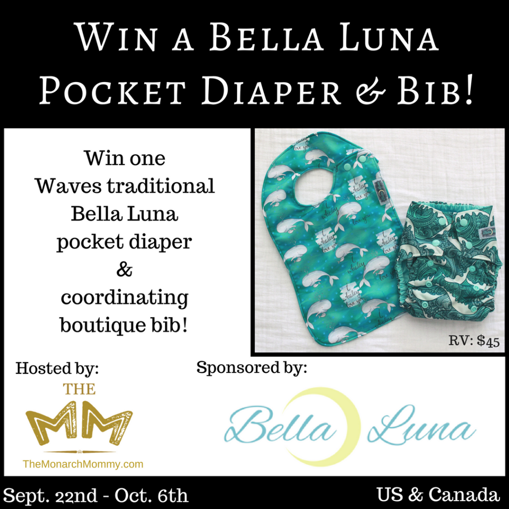 Bella Luna Pocket Diaper Review