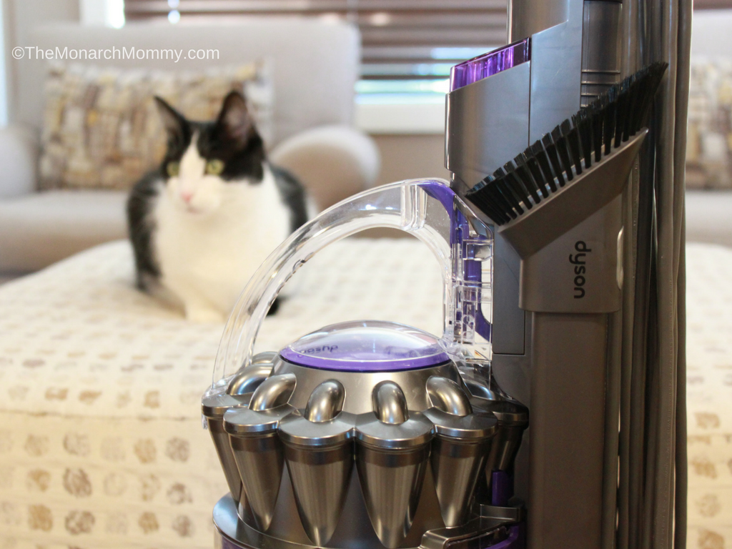 It's Love: How A Dyson Vacuum Stole My Heart
