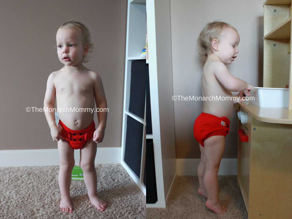 Bummis Pure All In One Cloth Diaper Review
